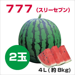【予約】777（スリーセブン） 4L（約8kg）×2玉